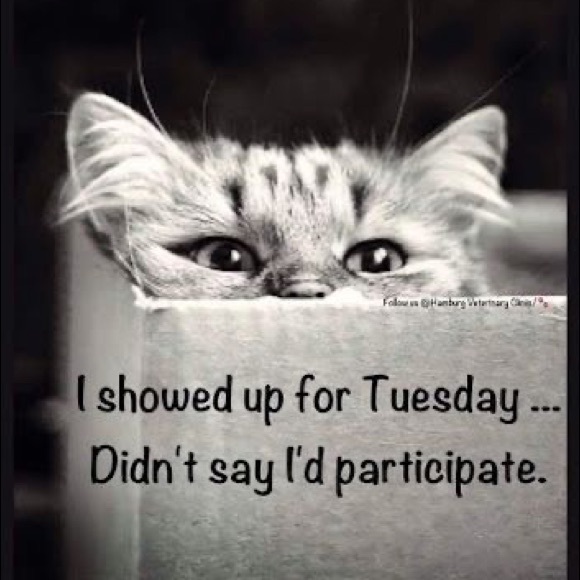 🥰 - Picture 13 of 16